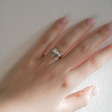 Anillo de lazo