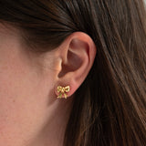 Pendientes de lazo